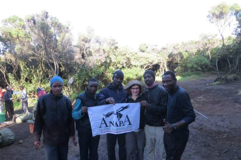 Kilimanjaro: 5-Day Marangu Route Trek with Accommodation