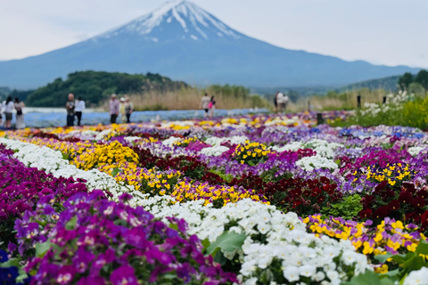 Tokyo: Private Daytrip to Mount Fuji - Fully Customizable Mt Fuji Private Luxury Van Tour (Customizable Experience)