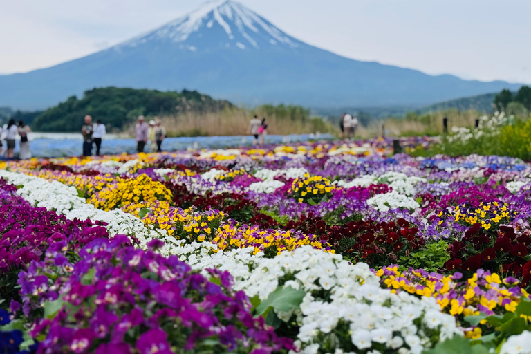 Tokyo: Private Daytrip to Mount Fuji - Fully Customizable Mt Fuji Private Luxury Van Tour (Customizable Experience)