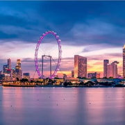 Singapore: Singapore Flyer Entry Ticket