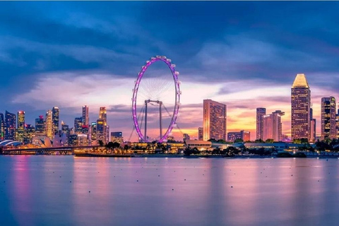 Cingapura: Bilhete de entrada para o Singapore Flyer e a Cápsula do TempoFolheto de Singapura + bilhete eletrônico da cápsula do tempo