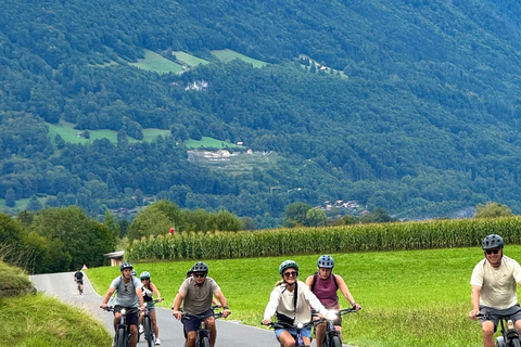 Odkryj Interlaken – jeziora, ruiny i widoki na wycieczce e-roweremOdkryj Interlaken – jeziora, ruiny i widoki: wycieczka na e-rowerze