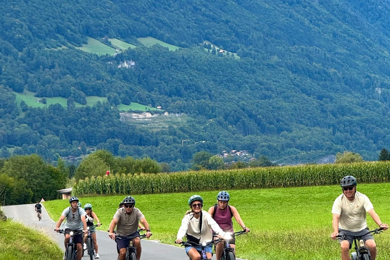 Odkryj Interlaken – jeziora, ruiny i widoki na wycieczce e-roweremOdkryj Interlaken – jeziora, ruiny i widoki: wycieczka na e-rowerze