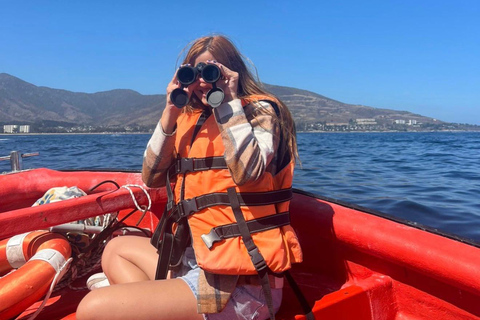 Papudo: Horseback Riding, Penguin Watching, and Sailing