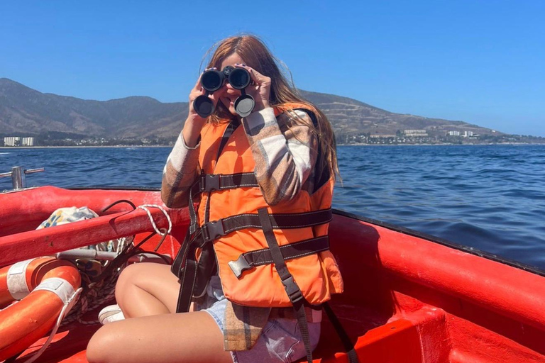 Papudo: Horseback Riding, Penguin Watching, and Sailing