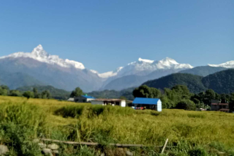 Easy Hike to Australian Base camp