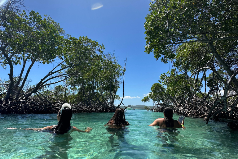 La Parguera : visite d'une demi-journée en bateau privé 4 heures