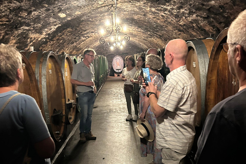 Rüdesheim: Die 0,0 Promille Weinproben Tour