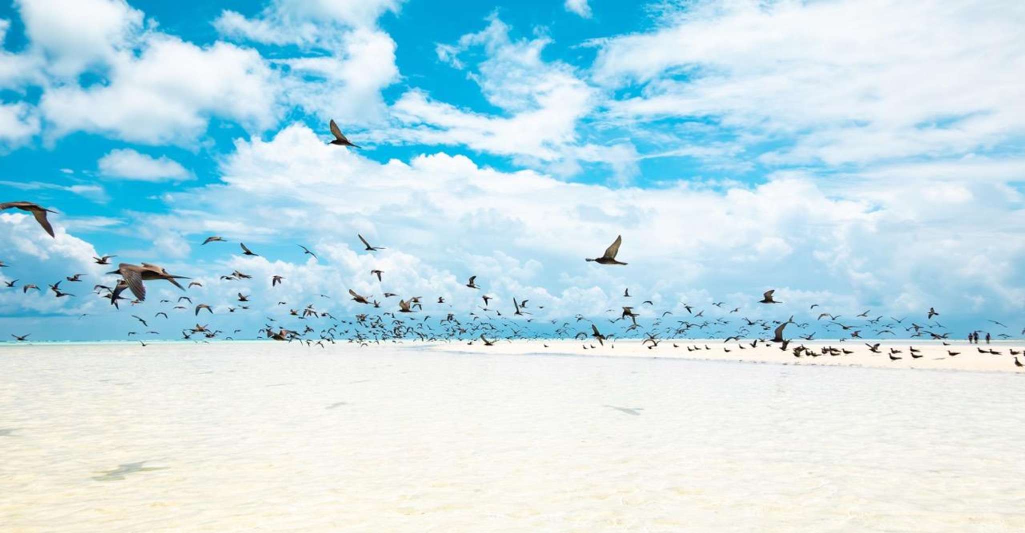 Tetiaroa Island by sailing catamaran - from Tahiti - Housity