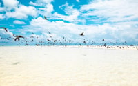 Taungoo Island par voile Catamaran - de Tahiti - Housity