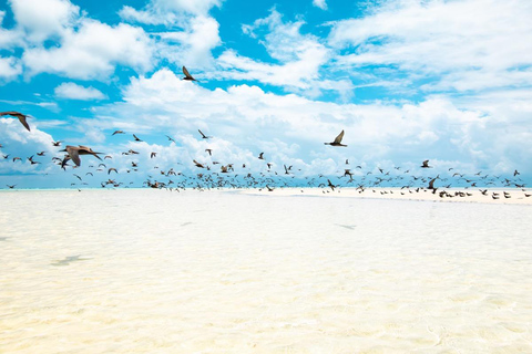 Von Tahiti aus: Tetiaroa Inselrundfahrt mit dem Segelkatamaran