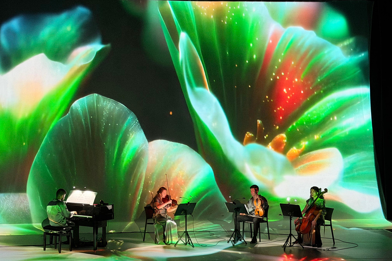 ✨Immersive Light & Music Show in Bilbao by Under The Tree