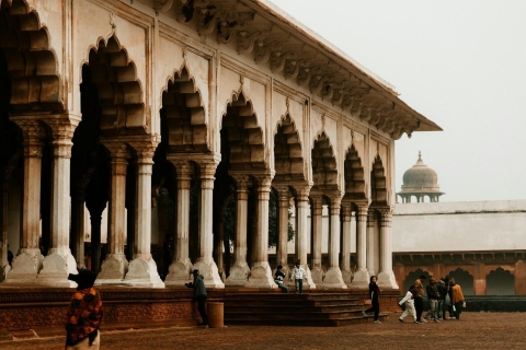 Desde Delhi: Excursión Privada Guiada al Taj Mahal en 4 ó 12 HorasDesde Delhi: Excursión al Taj Mahal, Fuerte de Agra y Mehtab Bagh
