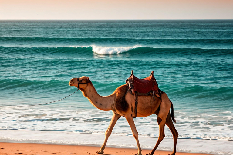 Camel Ride: Experience the Beauty of Tangier Beach at Sunset