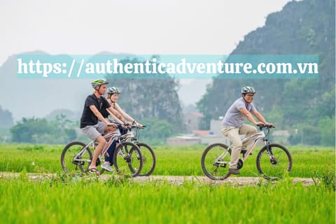 18-Day Vietnam Itinerary: Explore North to South Highlights