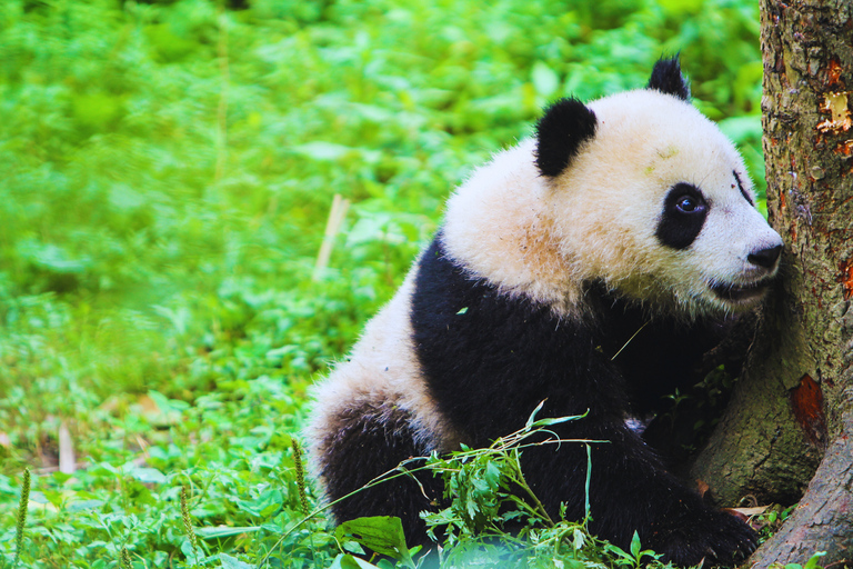 Beijing: Summer Palace Guided Tours & Top Park Combos Private Summer Palace & Old Summer Palace Park Walk Tour