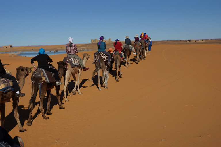 Agadir: Paseo en camello por el río Flamingo