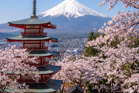 From Tokyo: Mt. Fuji & Hakone Private Scenic Day Tour