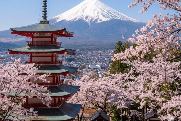 From Tokyo: Mt. Fuji & Hakone Private Scenic Day Tour