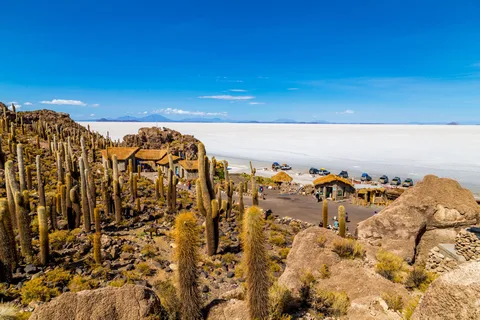 Uyuni: Excursión de un día al Salar de Uyuni con traslado en autobús desde La Paz