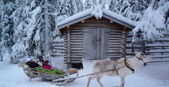 Rovaniemi: Traditional Reindeer Farm Visit & Sleigh Ride