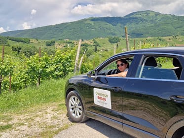 Valdobbiadene, Prosecco private tour & taste with Sommelier - Housity