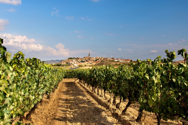Tour privado de los viñedos de La Rioja desde Bilbao (3 viñedos)