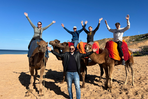 Explore Tangier: Guided City Tour and Seaside Camel Ride Pick up from the cruise terminal