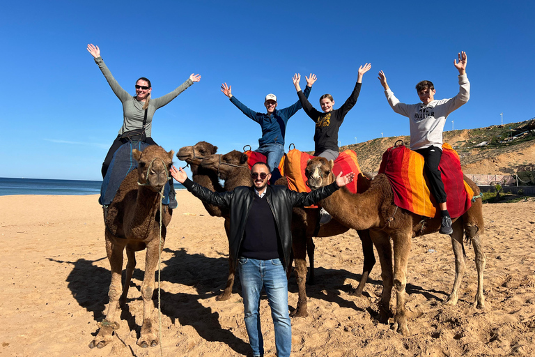 Explore Tangier: Guided City Tour and Seaside Camel Ride Pick up from the cruise terminal