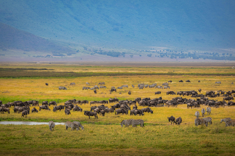 Safaris en Tanzanie et plage à Zanzibar