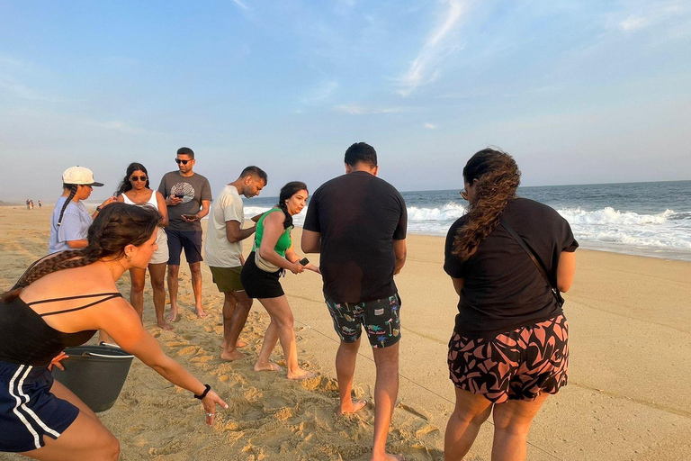 Z Huatulco: doświadczenie wypuszczania małych żółwi morskichZ Huatulco: wypuszczenie małych żółwi morskich