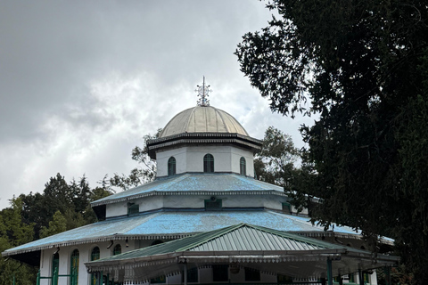Addis Ababa: Full-Day City Tour with Coffee Ceremony