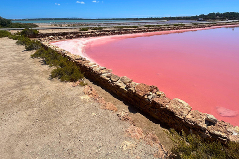 Formentera: Hidden Spots Tour in Land Rover Defender Formentera: Hidden Spots Tour in a Land Rover Defender