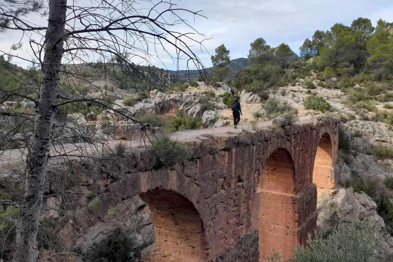 From Valencia: Peña Cortada Private Hiking Day Tour From Valencia: Peña Cortada Aqueduct Group Tour