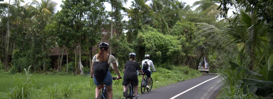 Ubud : Excursion en E-Bike avec visite d'une rizière et d'un village
