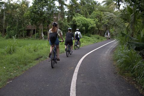 Ubud: E-Bike Tour with Rice Terrace and Village Visit Ubud: E-Bike Tour with Rice Terrace and Village Visit