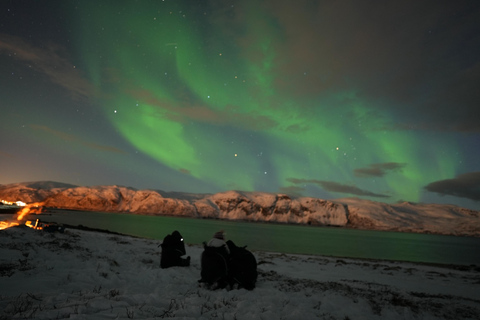 Jage dem Zauber der Nordlichter in Tromsø Norwegen nach