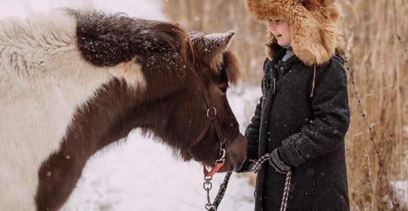 Reykjavik: All-Levels Icelandic Horse Ride in Lava Fields