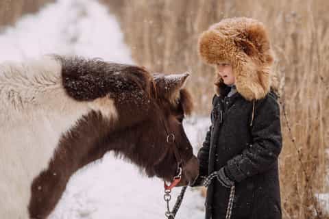 Reykjavik: Icelandic Horse Ride in Lava Fields – All Levels - Image 3