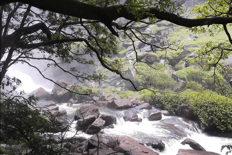 Ella: Bomburu Ella Waterfall & Porawagala View Point Tour