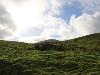 Tour privado por la isla de Faial: Medio día