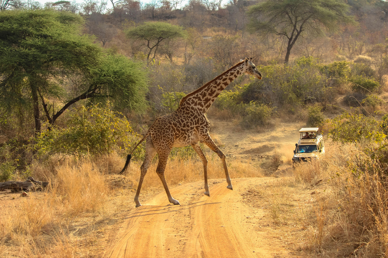 4-Days Tsavo East &West Safari From Nairobi with park fees,