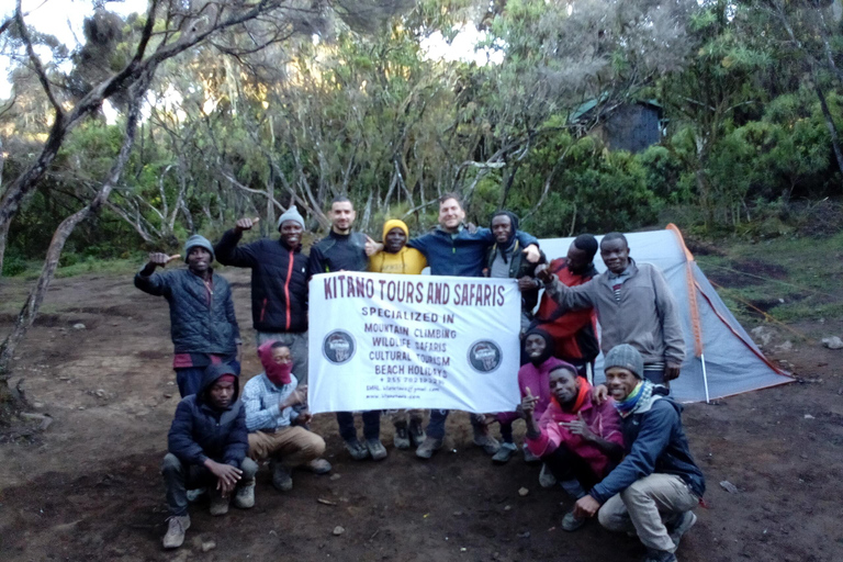 6 dagars fullmåneklättring på Kilimanjaro via Rongai-rutten