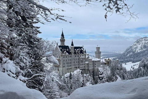 Private tour: Neuschwanstein castle and Alps from Innsbruck Private tour: Neuschwanstein castle and Alps from Innsbruck