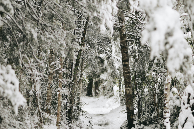 Północny Park Narodowy Tongariro i wędrówki na rakietach śnieżnych