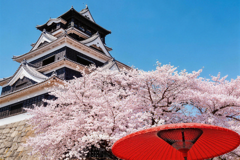Tokyo: Sky Lunch, Ueno Cherry Blossom & Meguro Night Trip