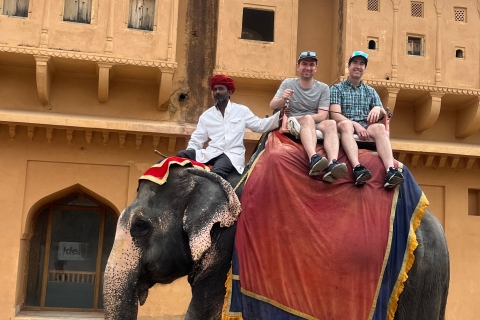 Tour de la ciudad de Jaipur con interacción con elefantesTour con coche privado y guía con interacción con elefantes