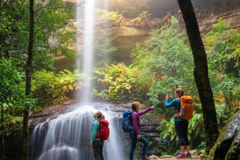 Blue Mountains Active Hike Tour from Sydney: No Rides Sydney: Blue Mountains Active Eco-Hike Tour (No Rides)
