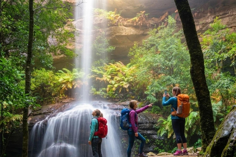 Blue Mountains Active Hike Tour from Sydney: No Rides Sydney: Blue Mountains Active Eco-Hike Tour (No Rides)