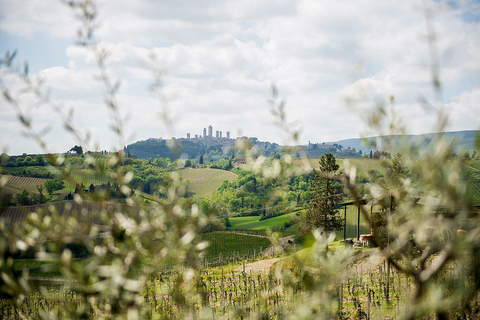 Private Tour durch die Toskana nach Pisa, Siena, San Gimignano und Mittagessen